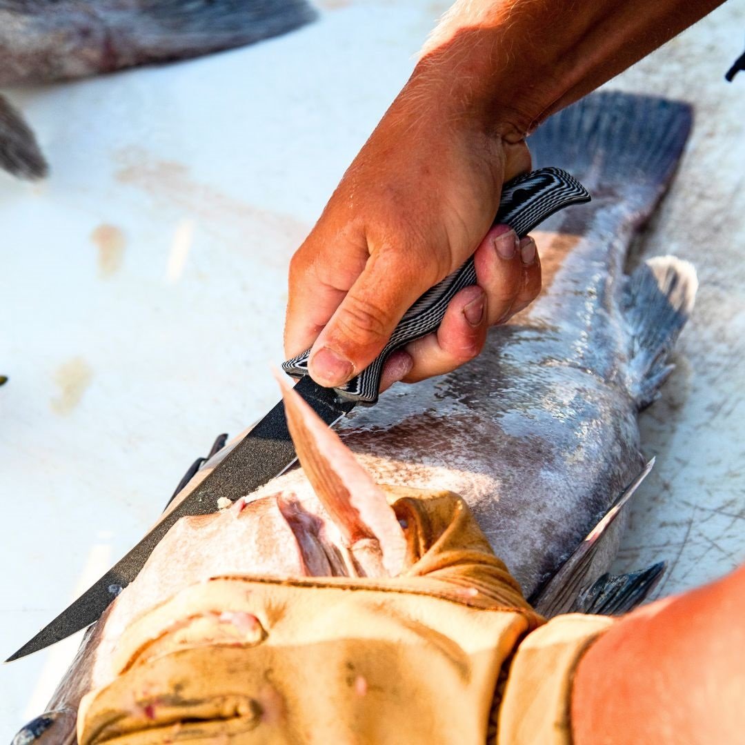 7 Fillet Knife - Medium Flex – SORD Fishing Products